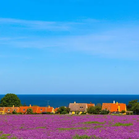4 Person Holiday In Casa vacanze Svaneke