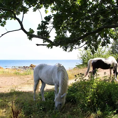 4 Person Holiday In Casa vacanze